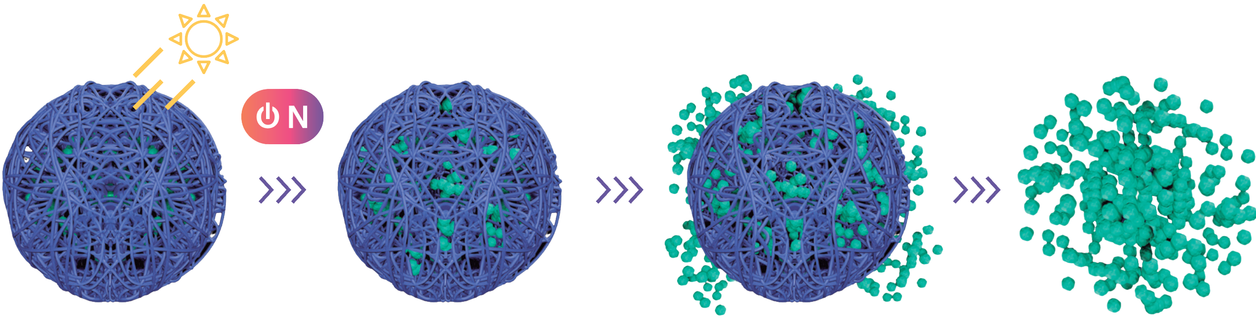 photon BIOSKEIN